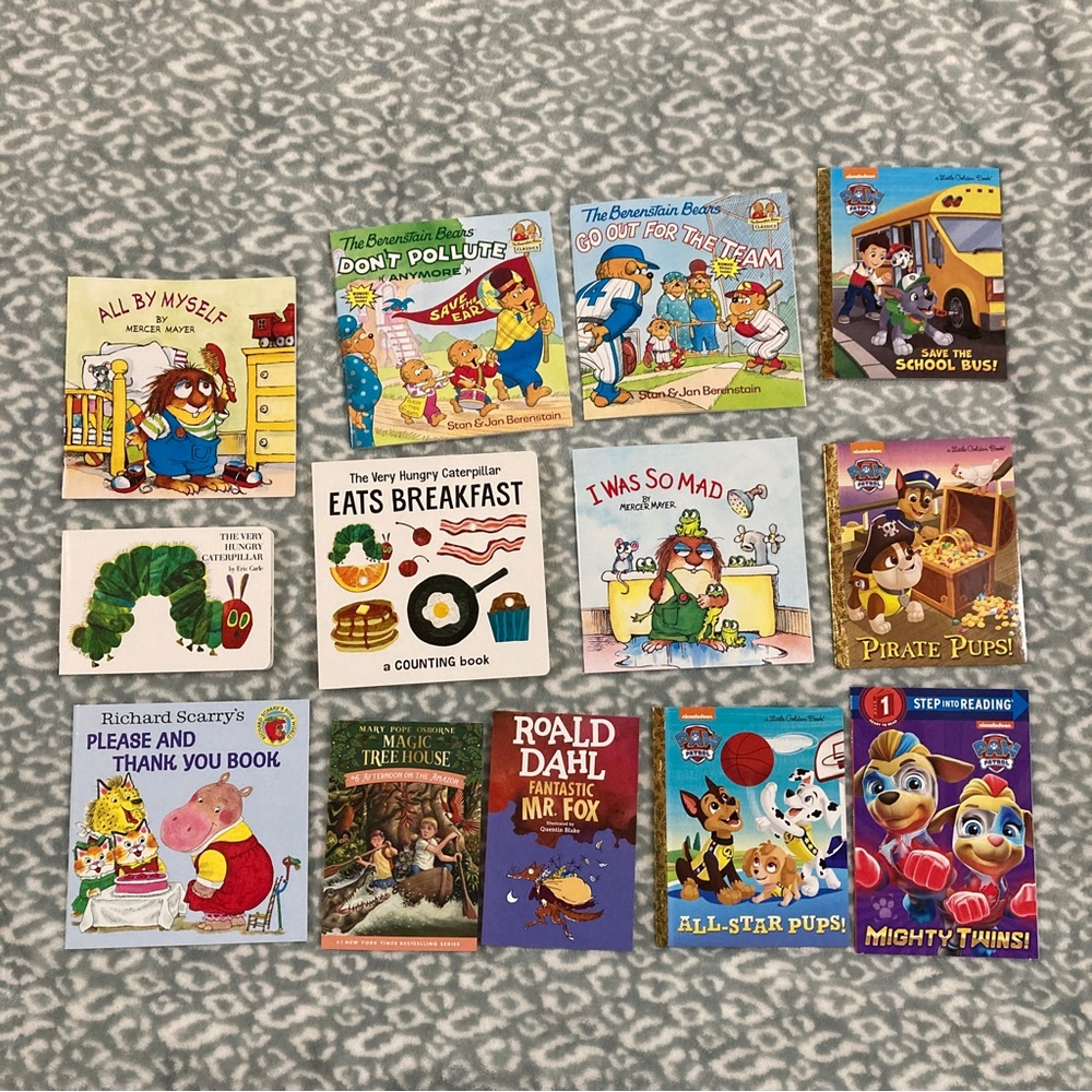 Set of 15 Children’s Book Bundle